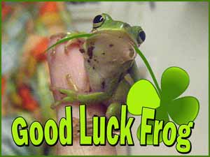 More Good Luck Frogs