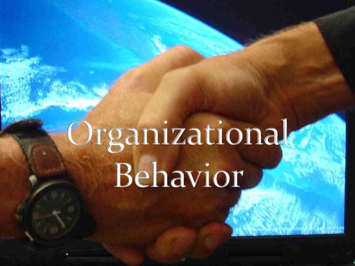 Unit 3 Organizational Structure & Behaviour Assignment CAPCO - Assignment Help UK