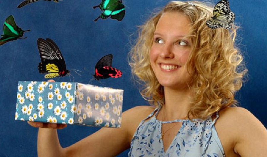 что подарить девушке на день рождения Салют из живых бабочек