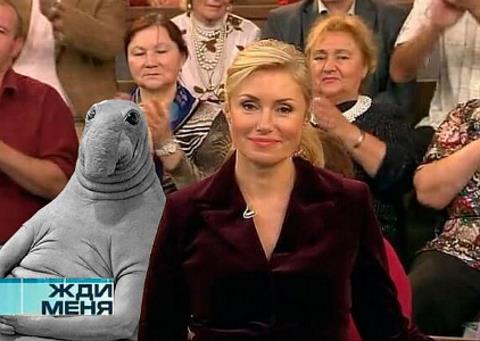 Мария Шукшина в телепрограмме "Жди меня"