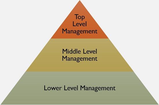 levels of management