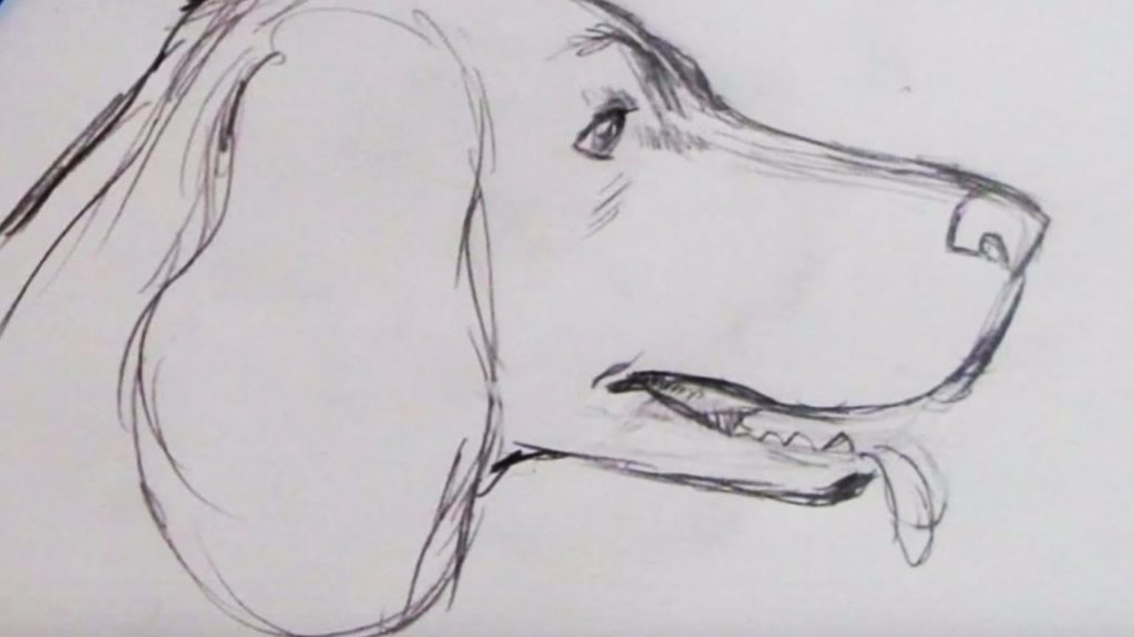 Sketch a spaniel dog