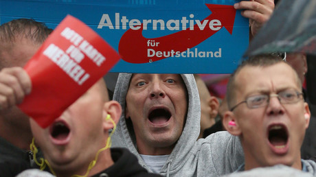 Merkel ‘to blame for AfD existence’ & will be challenged by new reality – analysts to RT