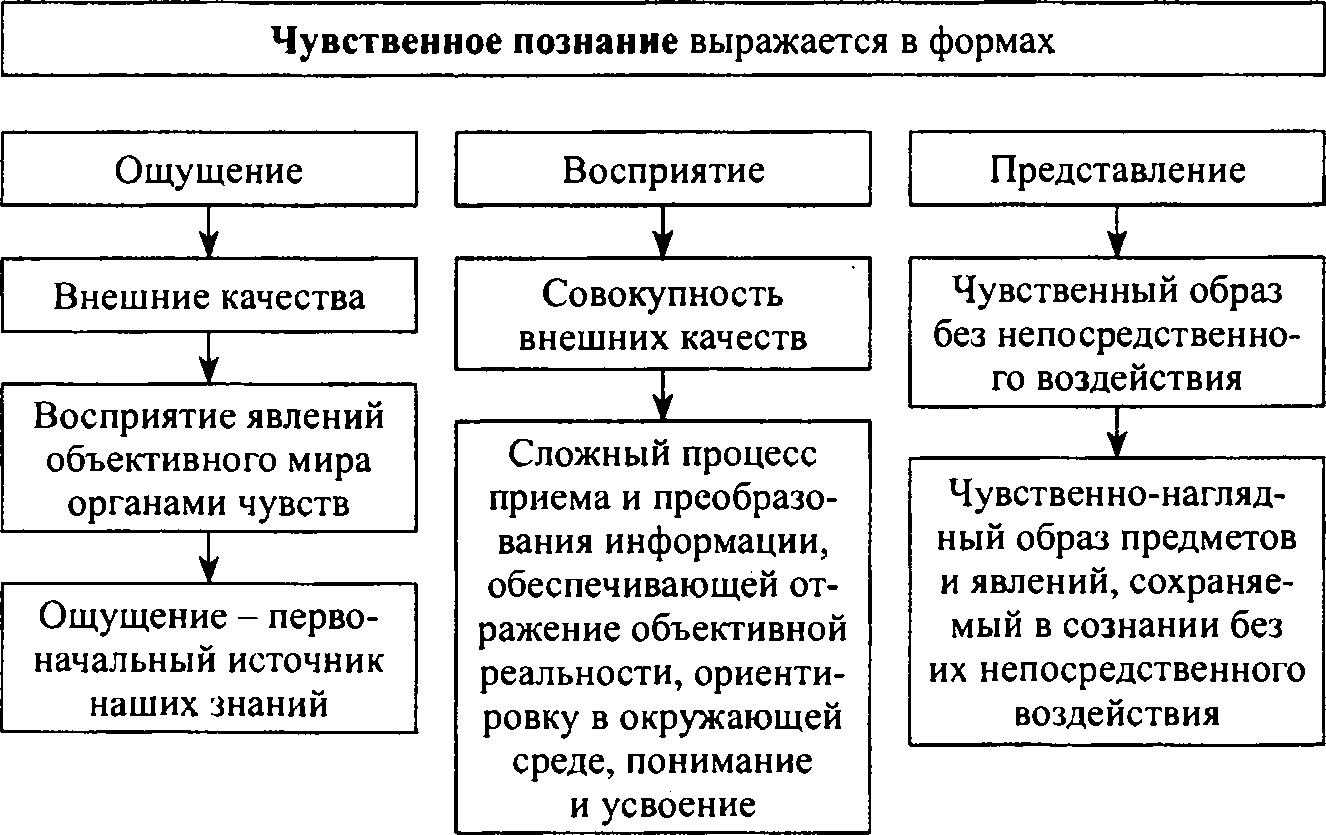 Ощущение восприятие представление