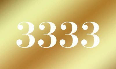 3333-znachenie-chisla