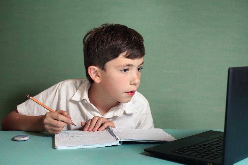 мальчик смотрит в компьютер