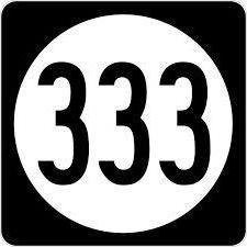 333 значение числа