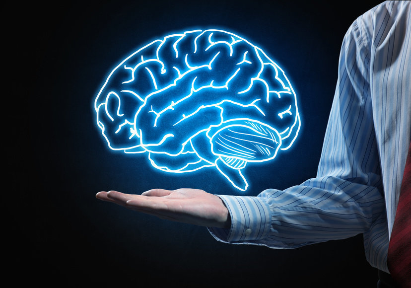 Важность человеческого мозга