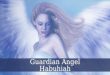 Guardian Angel Habuhiah