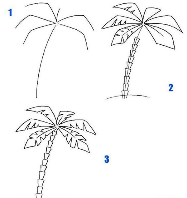 рисунок пальмы карандашом