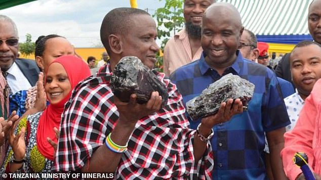 Saniniu Laizer pictured last month holding up two of the precious gemstones. He has now found a third Tanzania stone weighing 6.5kg