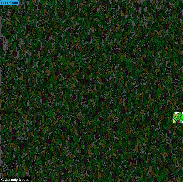 Eagle-eyed players should be able to spot the creature in the lower right hand side of the picture - but players say this is his hardest challenge yet