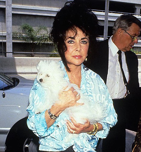 Devoted: Liz Taylor placed her dog Daisy at the centre of her kingdom - thought it seems unlikely she will be in with a shot of the millions