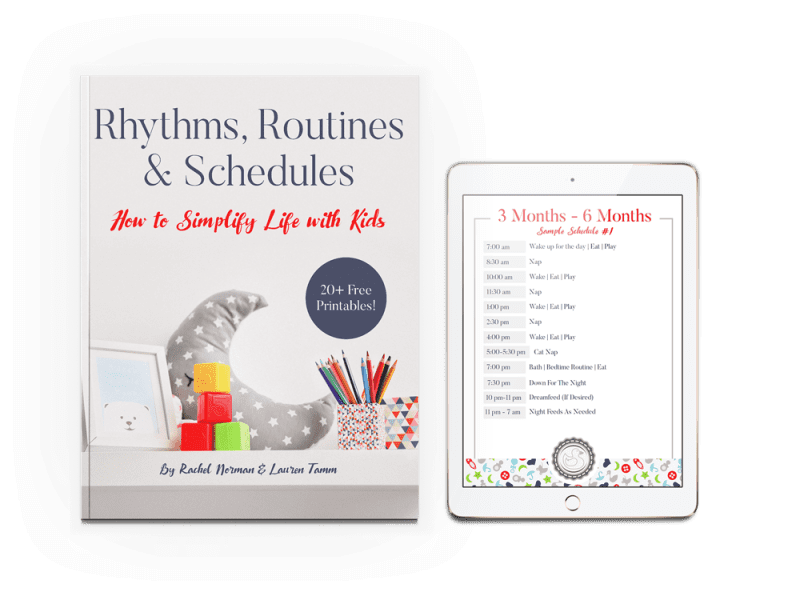 9 to 12 month routine book