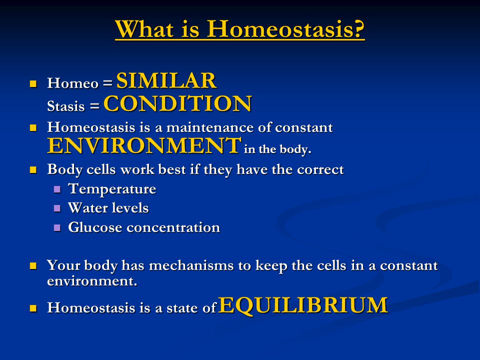 What is Homeostasis. What is Homeostasis.