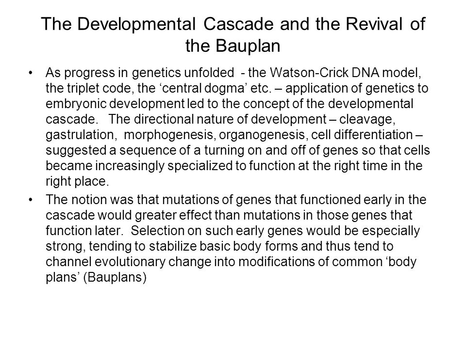 The Developmental Cascade and the Revival of the Bauplan As progress in genetics unfolded - the Watson-Crick DNA model, the triplet code, the ‘central dogma’ etc.