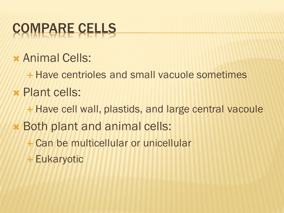  Animal Cells:  Have centrioles and small vacuole sometimes  Plant cells:  Have cell wall, plastids, and large central vacoule  Both plant and animal cells:  Can be multicellular or unicellular  Eukaryotic
