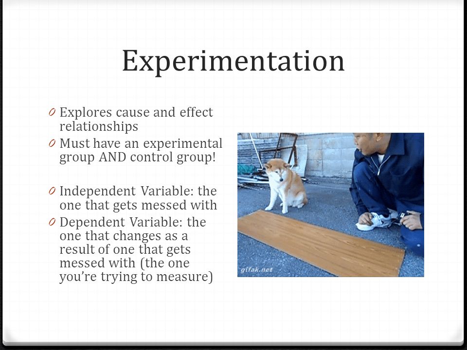 Experimentation 0 Explores cause and effect relationships 0 Must have an experimental group AND control group.