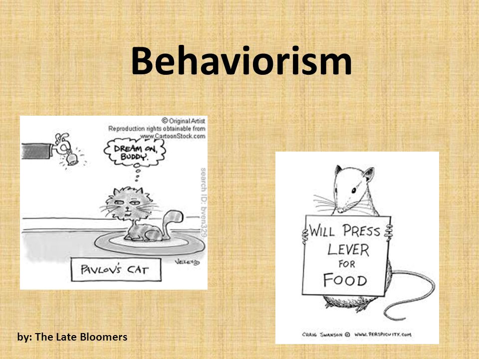 Behaviorism by: The Late Bloomers