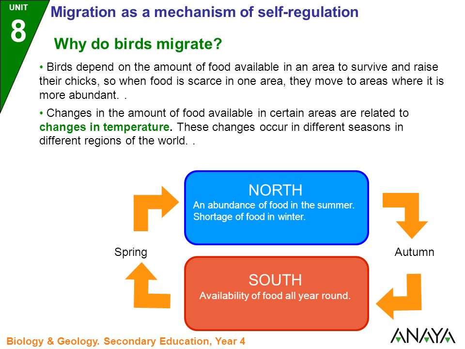 Why do birds migrate.