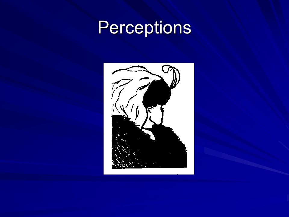 Perceptions