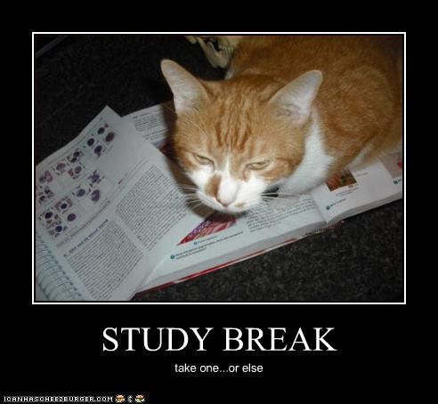 Study Hacks: Take Study Breaks
