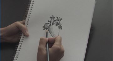 drawing the human heart