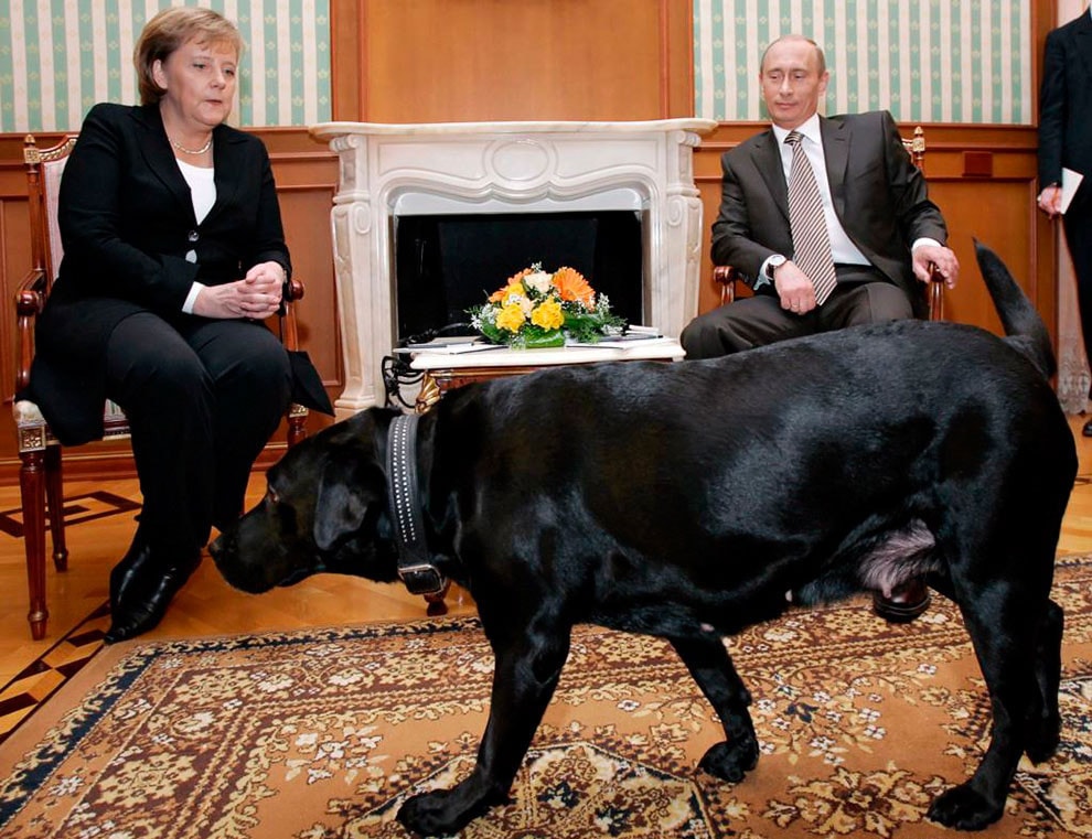 Angela-Merkel-i-Vladimir-Putin-s-sobakoy