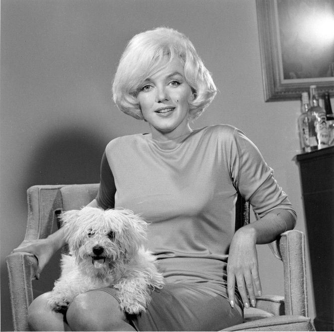 Мэрилин Монро  с собачкой