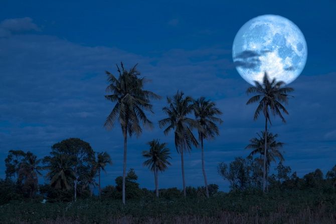 Осетровая Луна: когда будет Полнолуние в августе 2020 года? 7