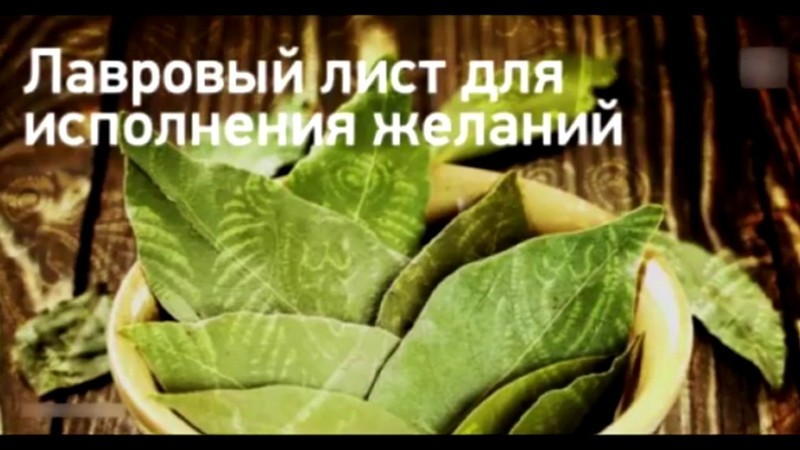 Ритуалы в Новолуние на исполнение желания: загадать желание в Новолуние с лавровым листом