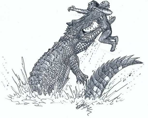 Crocodylus anthropophagus