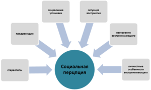 Перцепция - умение подмечать и выделять различные свойства людей