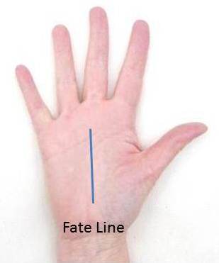 Fate Line