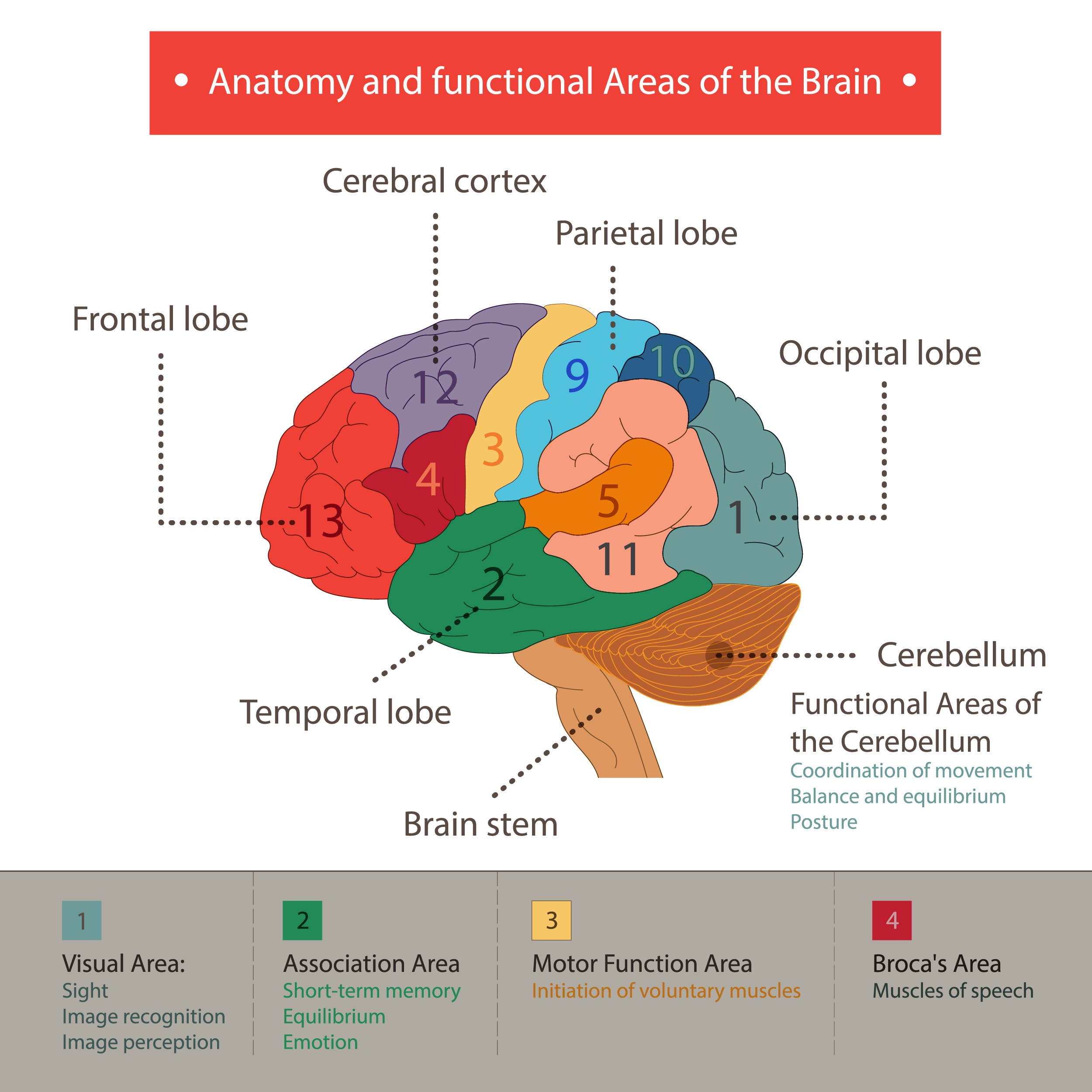 What are cognitive functions and when do we use them?
