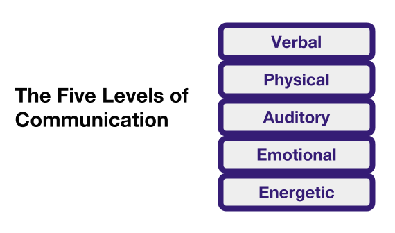 levels of communication