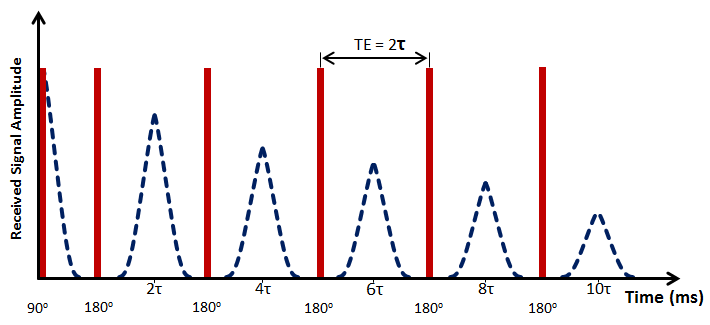 CPMG Pulse Sequence