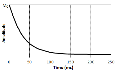 The Amplitude of the Decaying Spin Echoes Yield an Exponentially Decaying Curve with Time Constraint T2