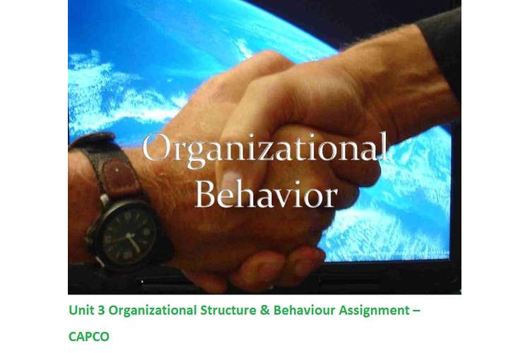 Unit 3 Organizational Structure & Behaviour Assignment – CAPCO