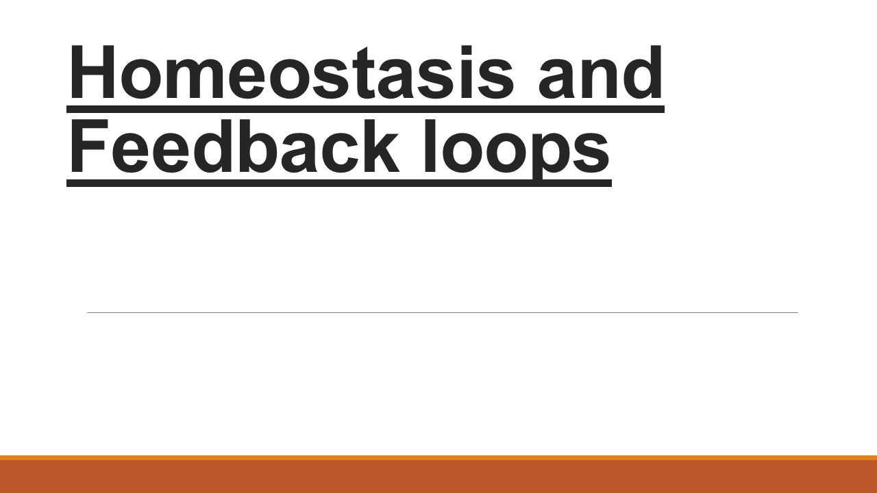 Homeostasis and Feedback loops