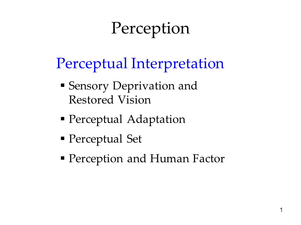 Perception Perceptual Interpretation