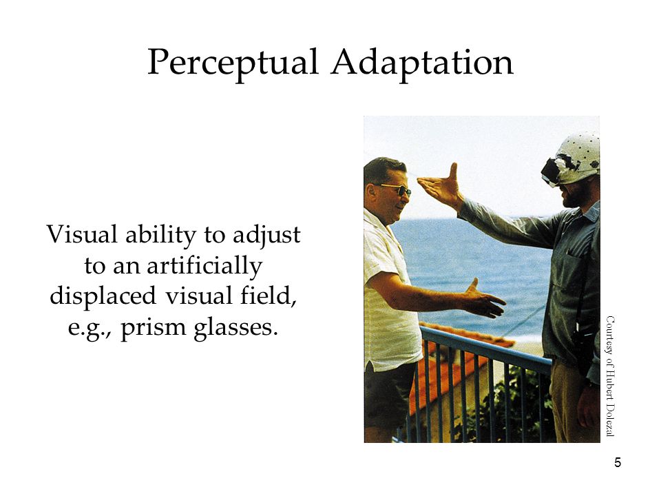 Perceptual Adaptation