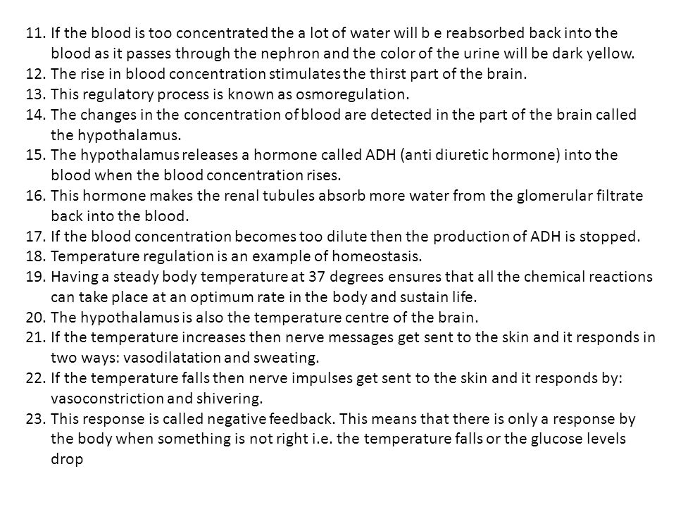 If the blood is too concentrated the a lot of water will b e reabsorbed back into the blood as it passes through the nephron and the color of the urine will be dark yellow.