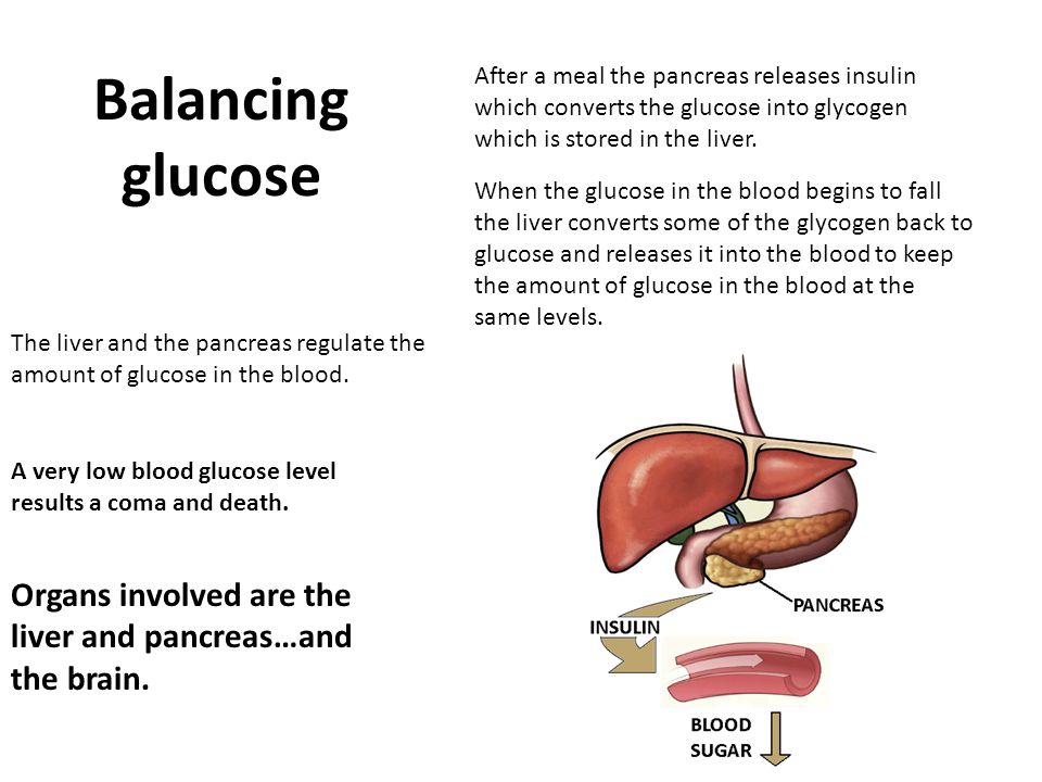 Balancing glucose After a meal the pancreas releases insulin which converts the glucose into glycogen which is stored in the liver.