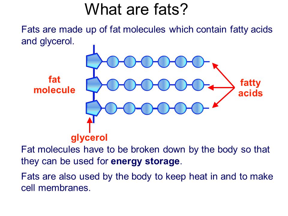 What are fats Fats are made up of fat molecules which contain fatty acids and glycerol. fat. molecule.