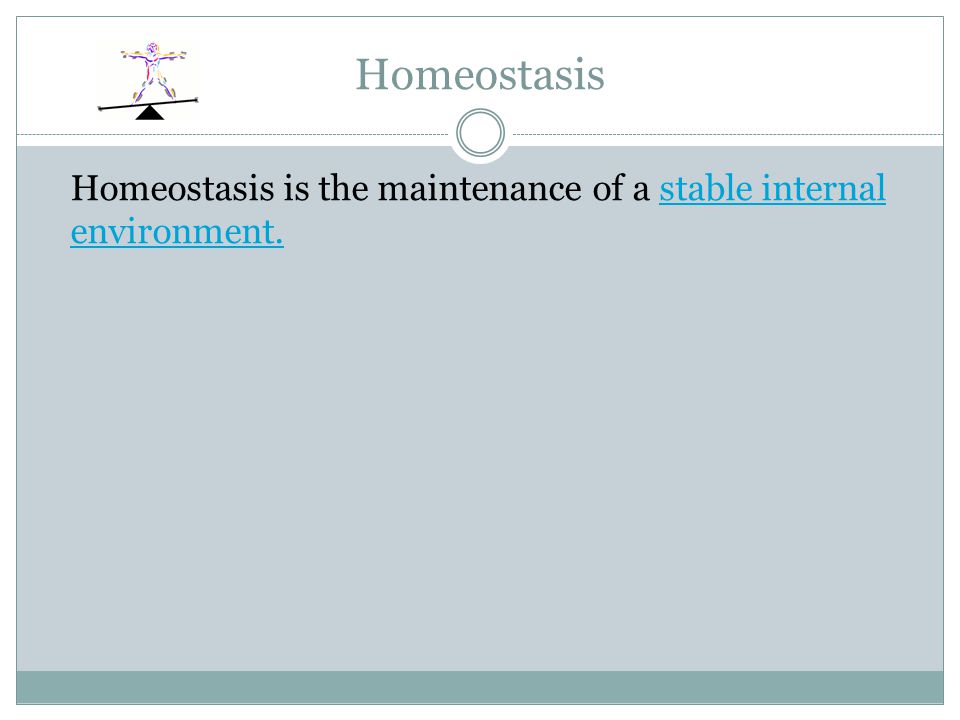 Homeostasis Homeostasis is the maintenance of a stable internal environment.