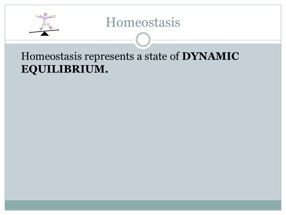 Homeostasis Homeostasis represents a state of DYNAMIC EQUILIBRIUM.