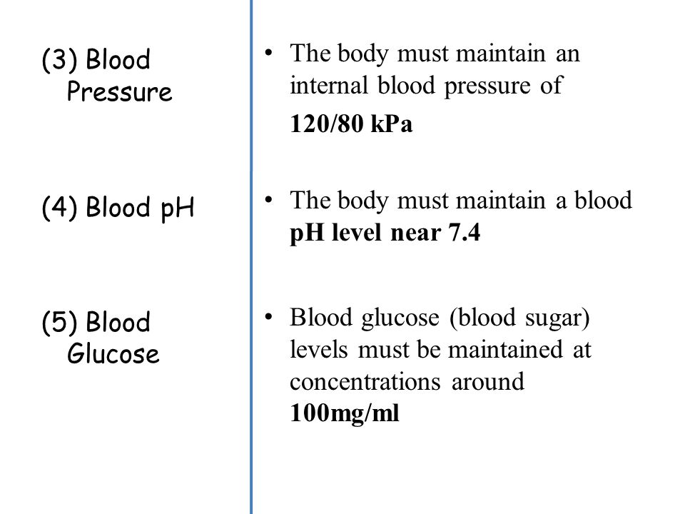 The body must maintain an internal blood pressure of