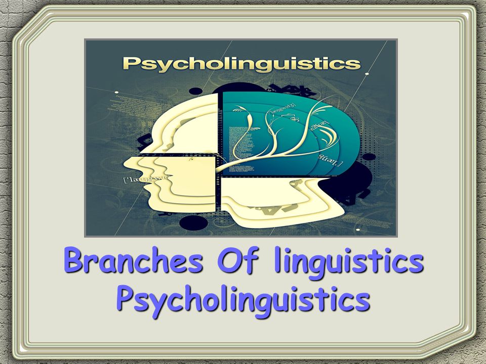 Branches Of linguistics Psycholinguistics