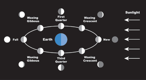 This graphic shows all eight moon phases we see as the Moon makes a complete orbit of Earth about every four weeks.
